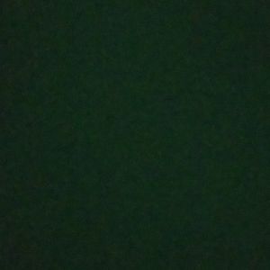 Meet your Posher, Marley